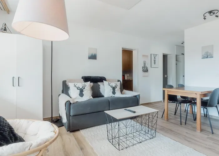 Avec Vue Majestueuse Sur Les Montagnes Appartement