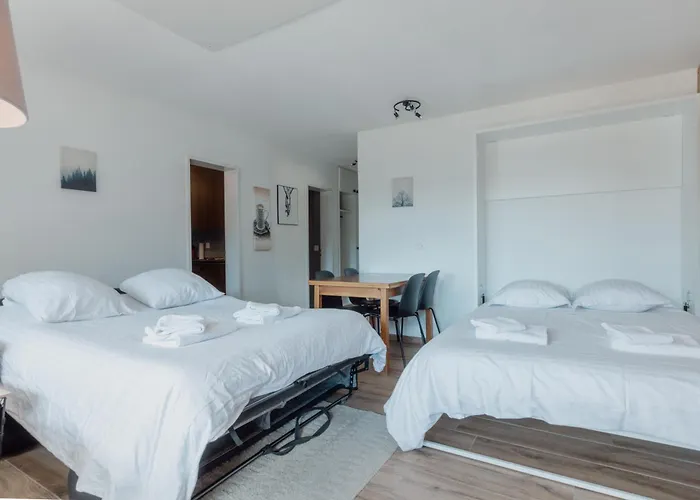 Appartement Avec Vue Majestueuse Sur Les Montagnes